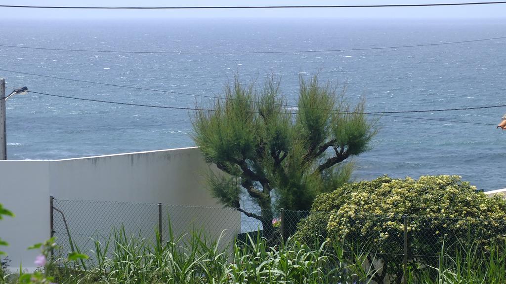 Santa Cruz Ocean Apartment - II Екстер'єр фото